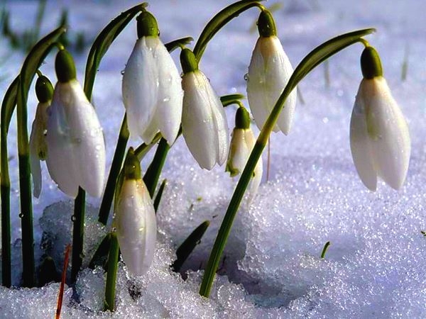 Прогноз погоды на выходные 19–20 февраля: по всей Украине по-весеннему тепло